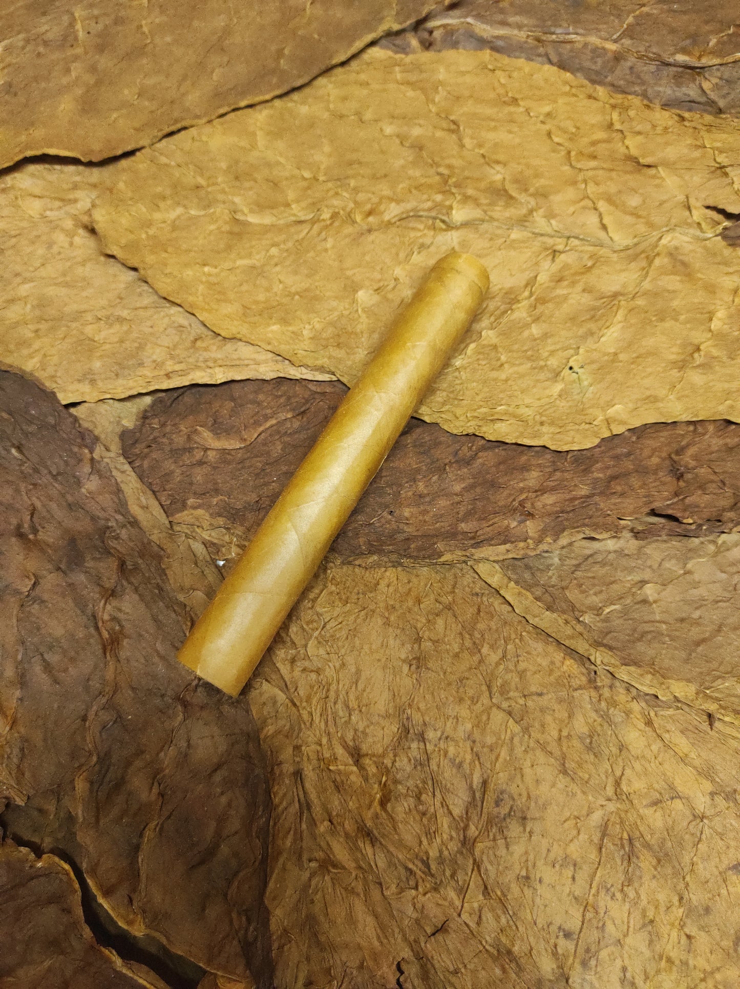 Toro 52x6”