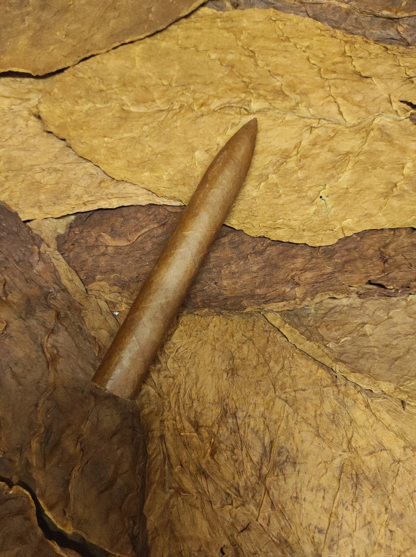 Torpedo 54x6.5”