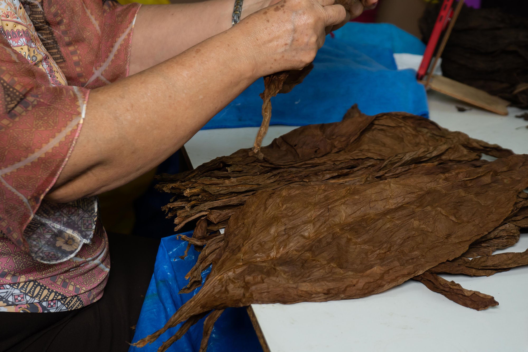 Wrapper Striping and Casing – Tabacalera Pages