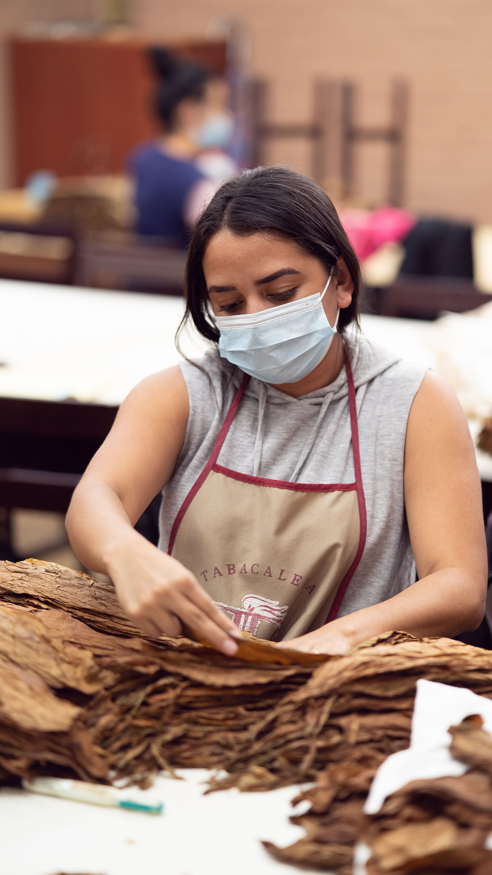 Wrapper Striping and Casing – Tabacalera Pages