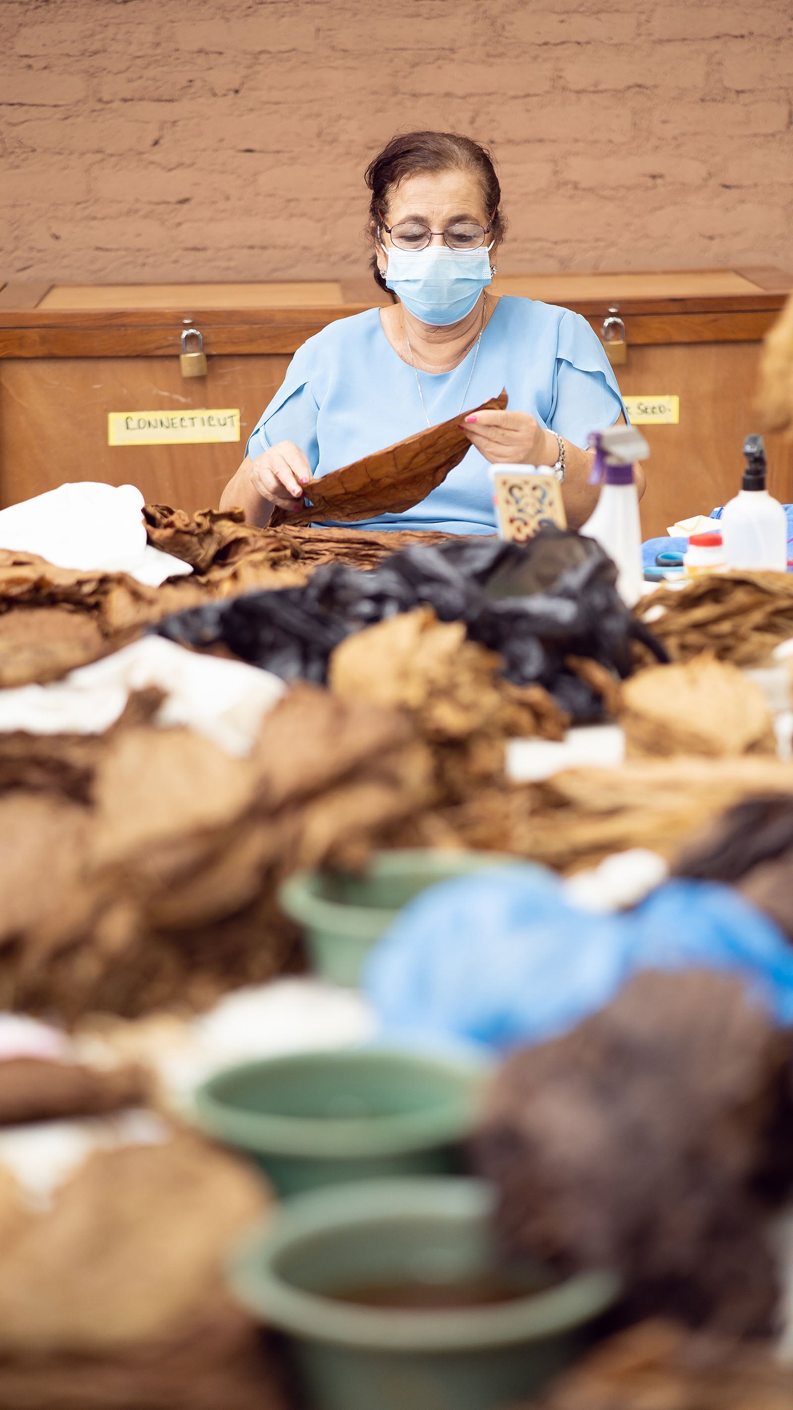 Wrapper Striping and Casing – Tabacalera Pages